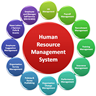 Biometric fingerprint HRMS software